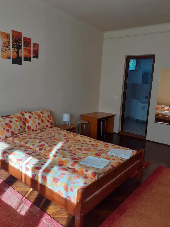 Casa De Vacanta Zsenik Vendeghaz Szováta Kültér fotó