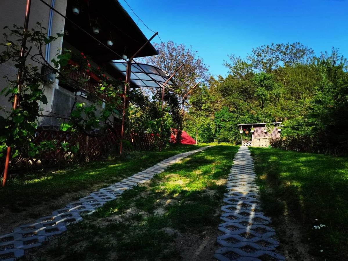 Casa De Vacanta Zsenik Vendeghaz Szováta Kültér fotó