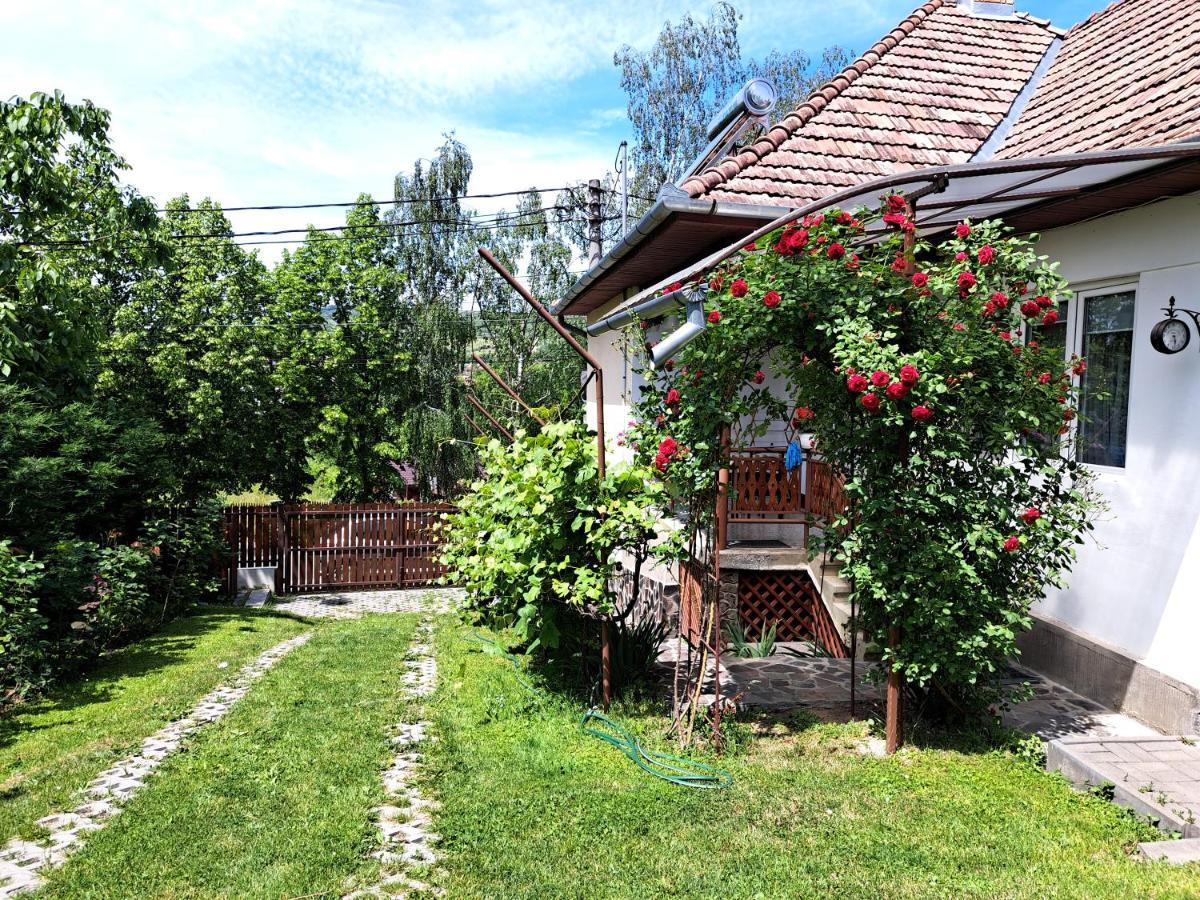 Casa De Vacanta Zsenik Vendeghaz Szováta Kültér fotó